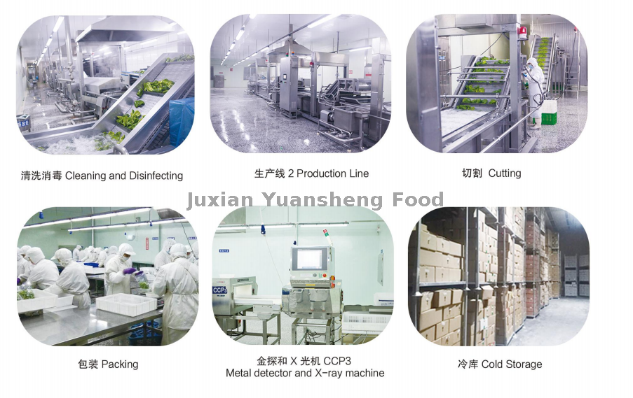 workshop 2 warsztat 2