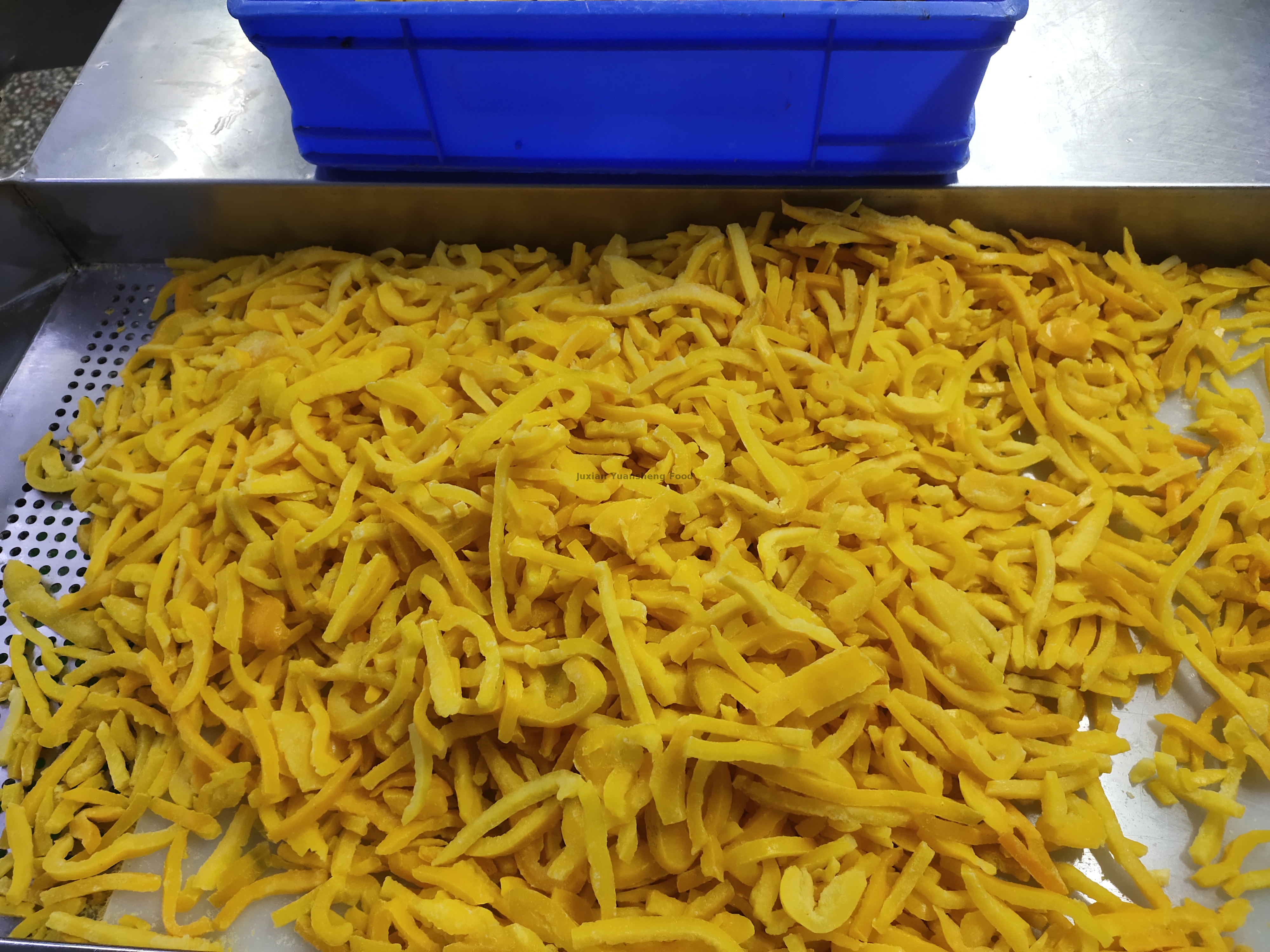 bell pepper (11) papryka (11)