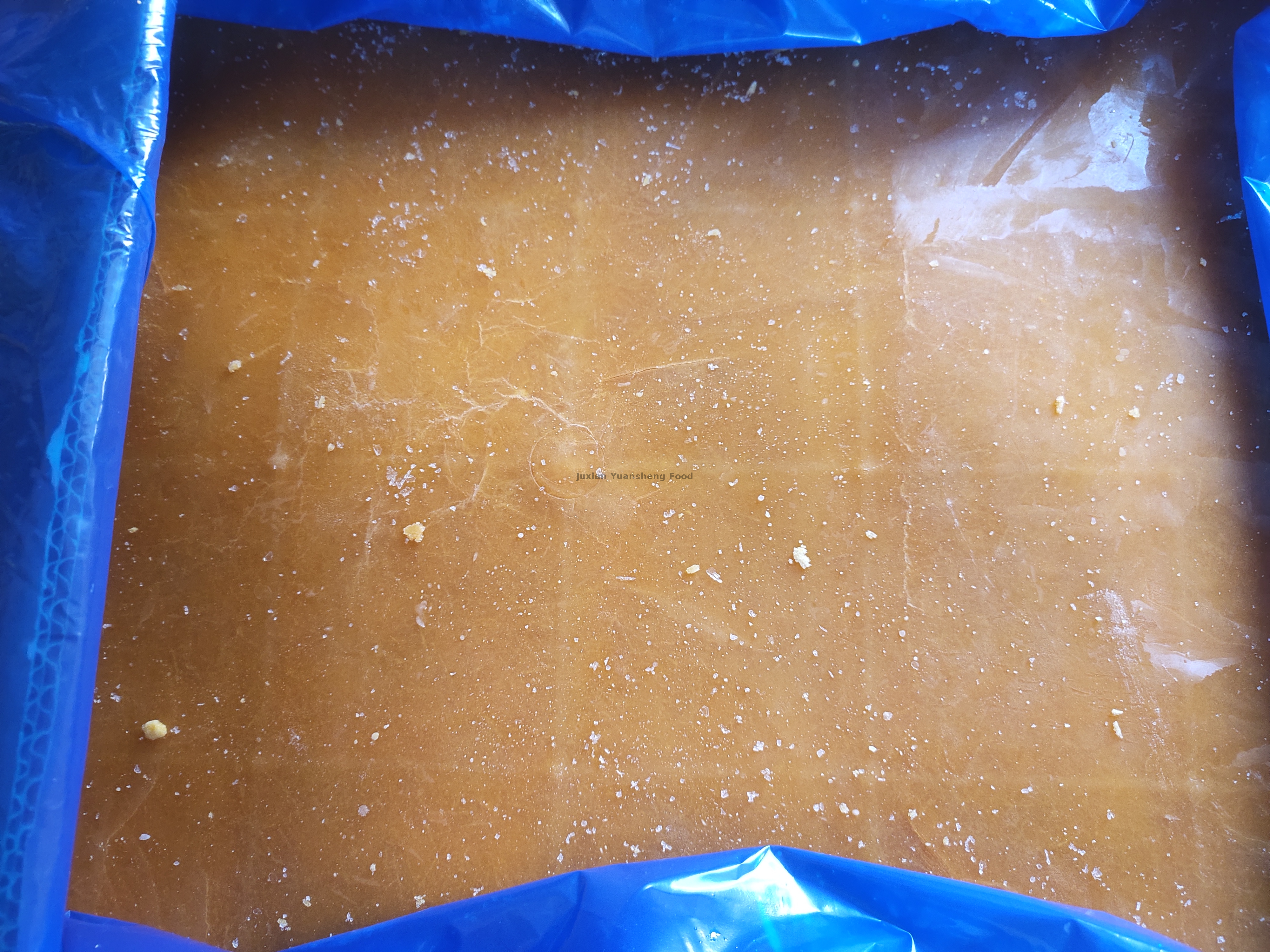 dynia 2 (7) - 副本