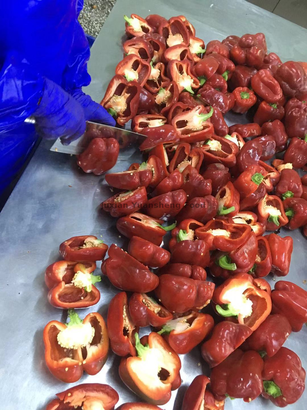 Masowe kostki mrożonej czerwonej papryki 