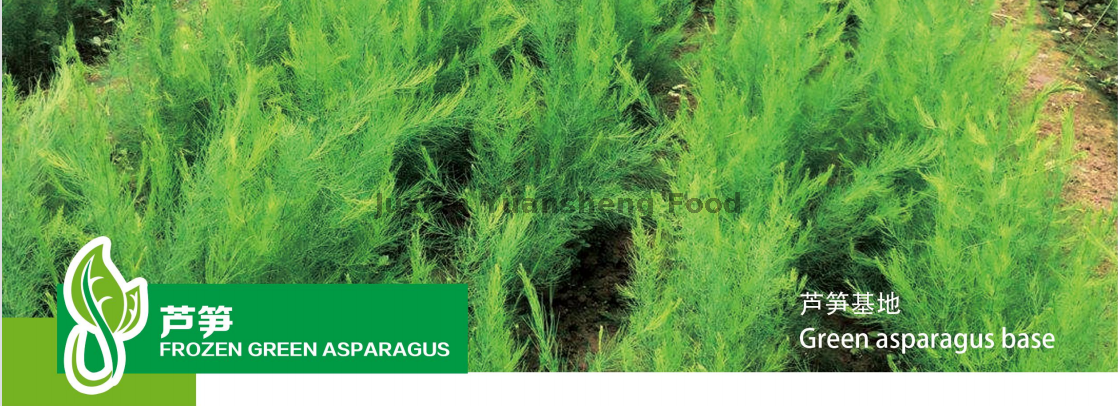 baza ze szparag&oacute;w