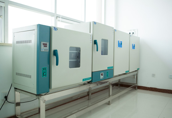 4_0005_细菌培养- kultura bakteryjna